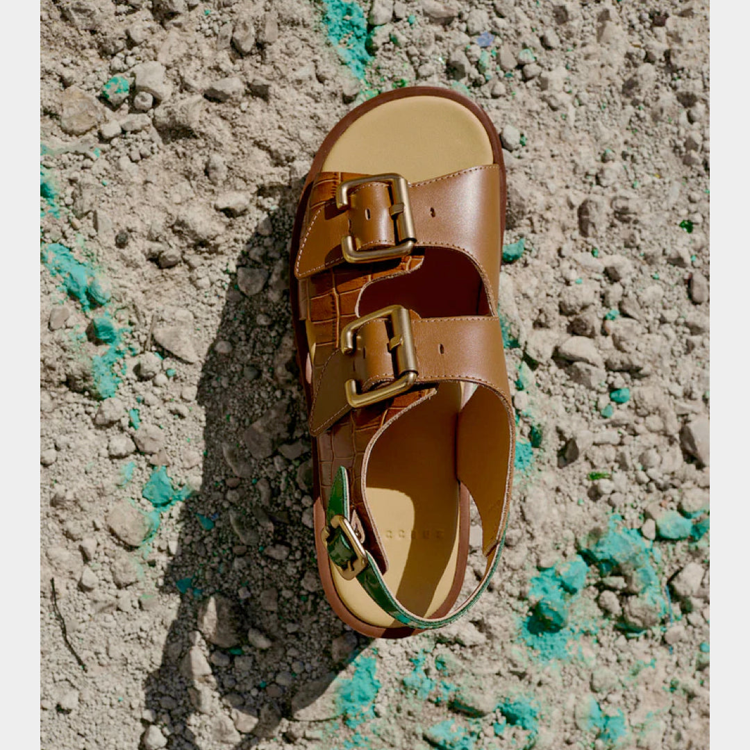 4CCCCEES - Plia Astra Platform image 13