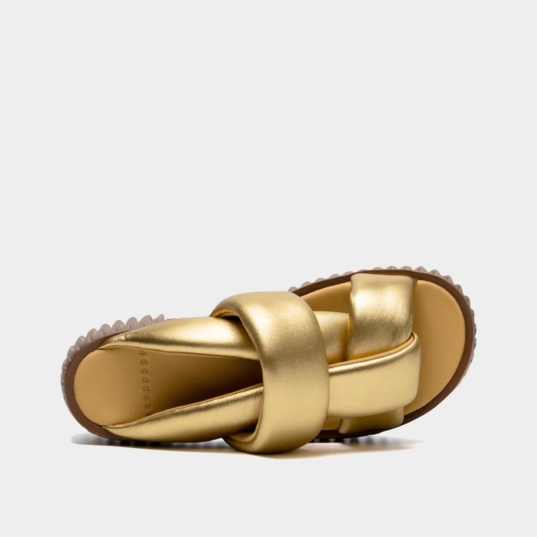 4CCCCEES - Plia Semo Platform image 1