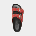 Silent D - Ciana Slide image 7