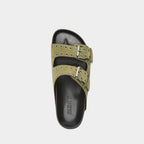 Silent D - Ciana Slide image 4