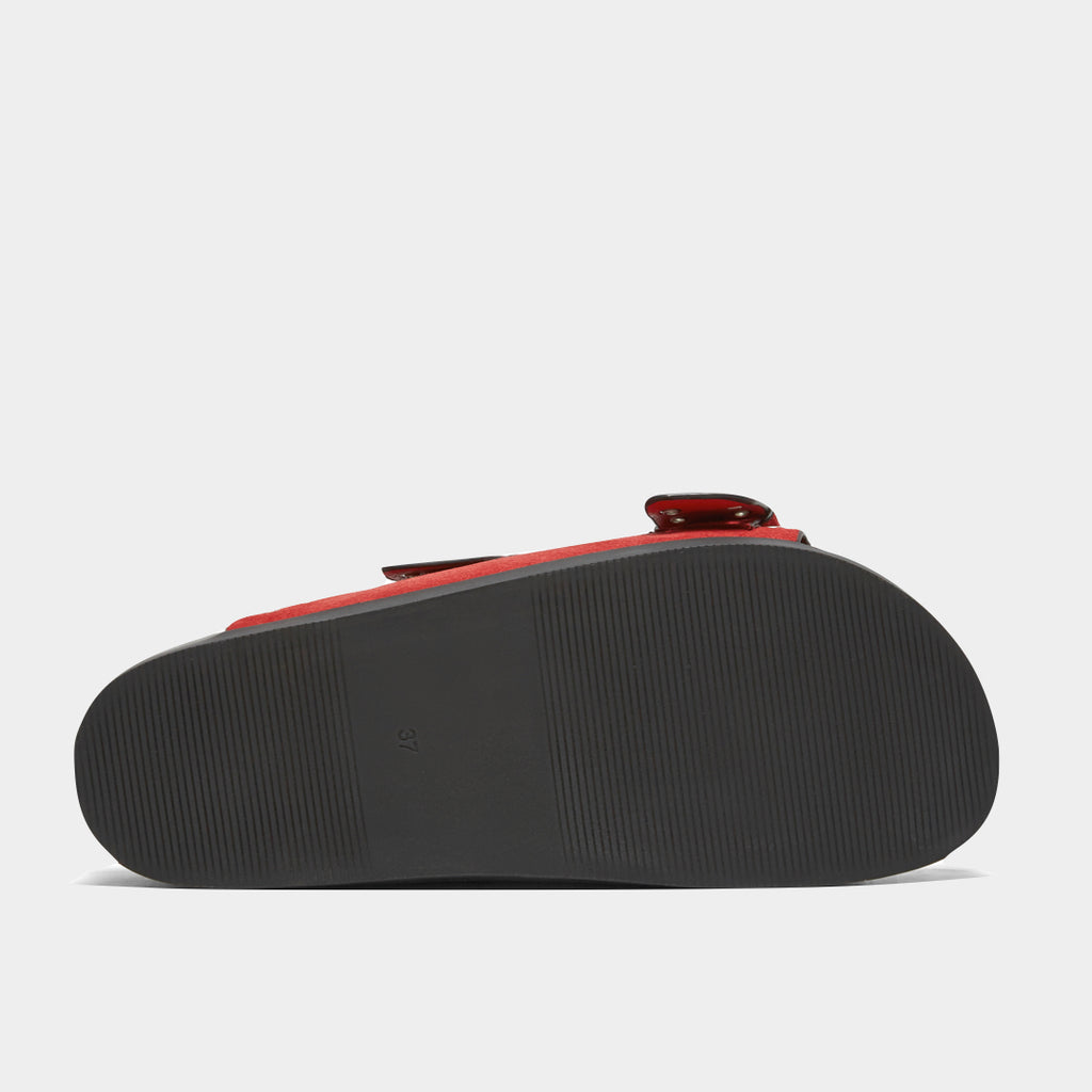 Silent D - Ciana Slide image 6