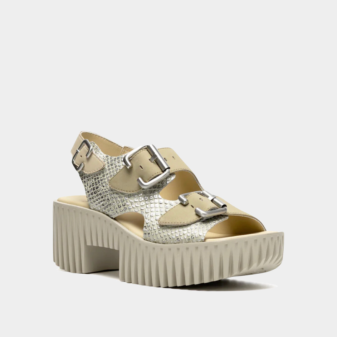 4CCCCEES - Plia Astra Platform image 8