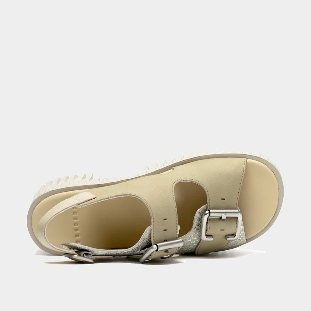 4CCCCEES - Plia Astra Platform image 6